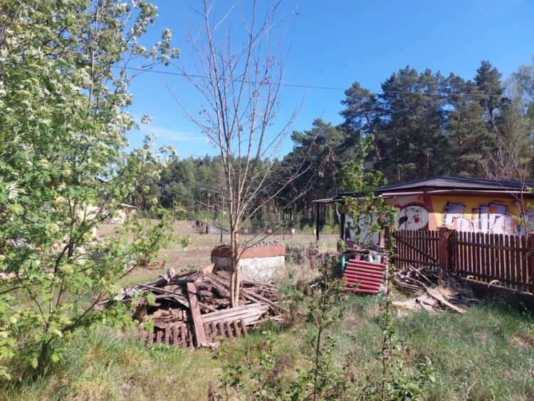 fot. UM Czerwieńsk