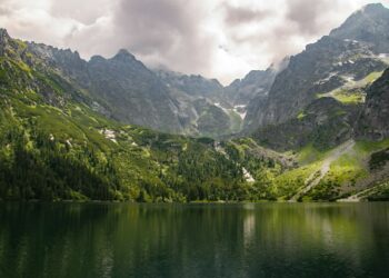 Fot. Pexels