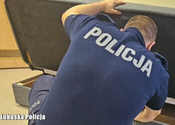 fot. Lubuska Policja