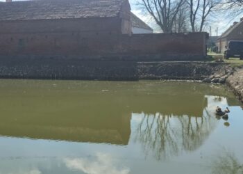 fot. UG Szczaniec