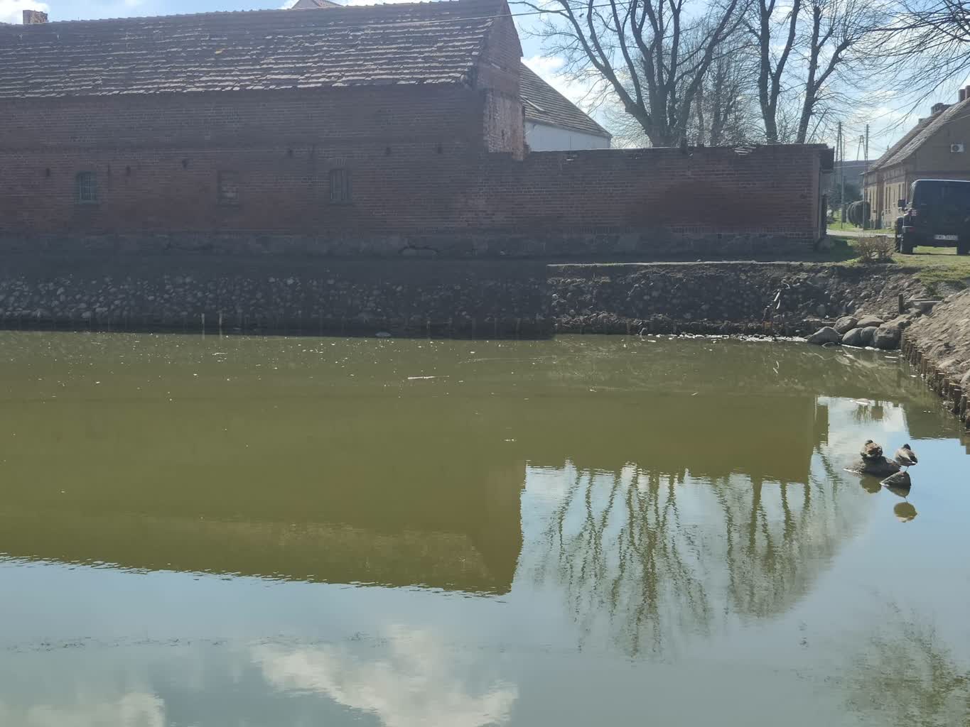 Obudowany staw w Dąbrówce Małej