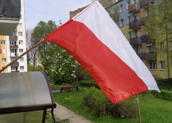 fot: P.Kozubaj
