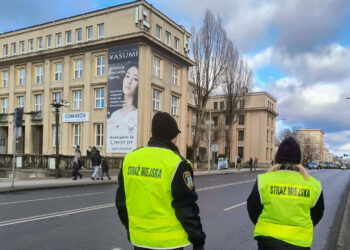 fot. Straż Miejska w Zielonej Górze