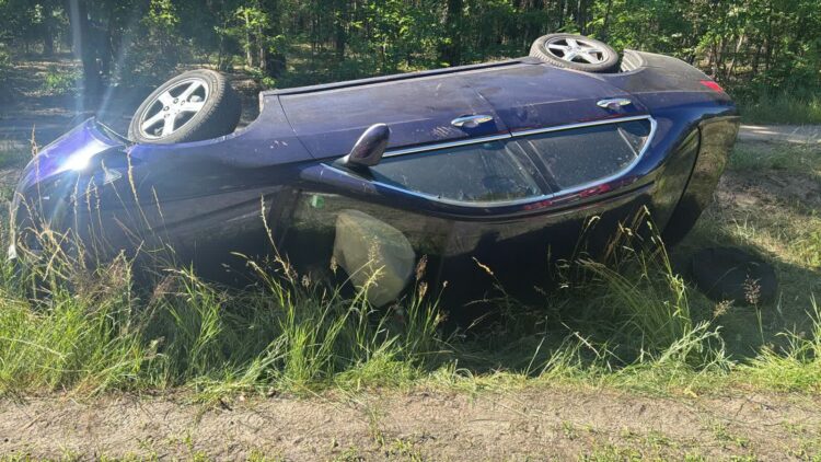 fot. KMP w Zielonej Górze
