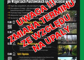 fot. Materiał Organizatora