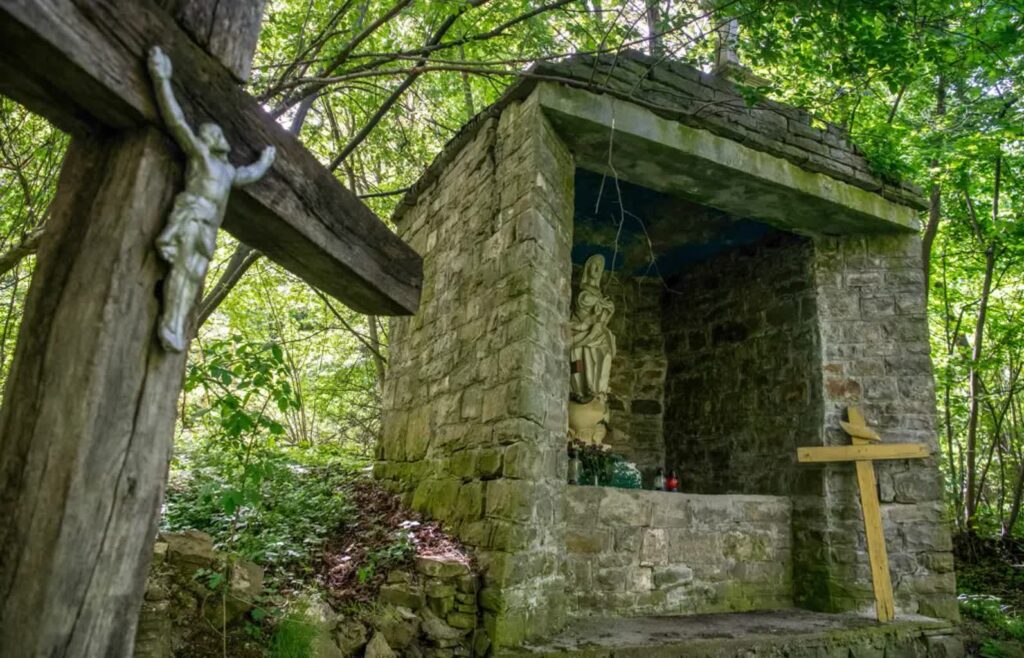 Puźniki, Ukraina (fot. PAP/Vladyslav Musiienko)
