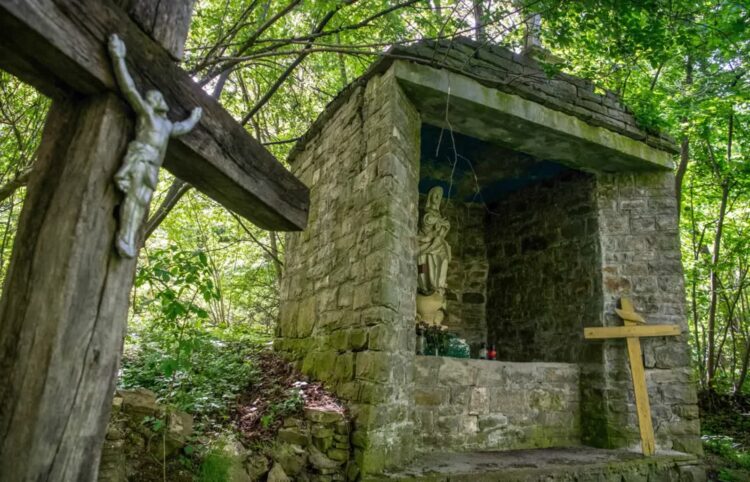 Puźniki, Ukraina (fot. PAP/Vladyslav Musiienko)