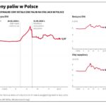 Dystrybutor na stacji paliw Fot. PAP/Darek Delmanowicz