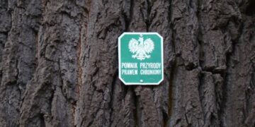 Fot. Lasy Państwowe