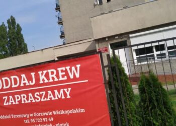 archiwum redakcji