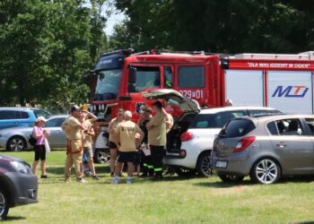 fot. Starostwo Powiatowe w Międzyrzeczu