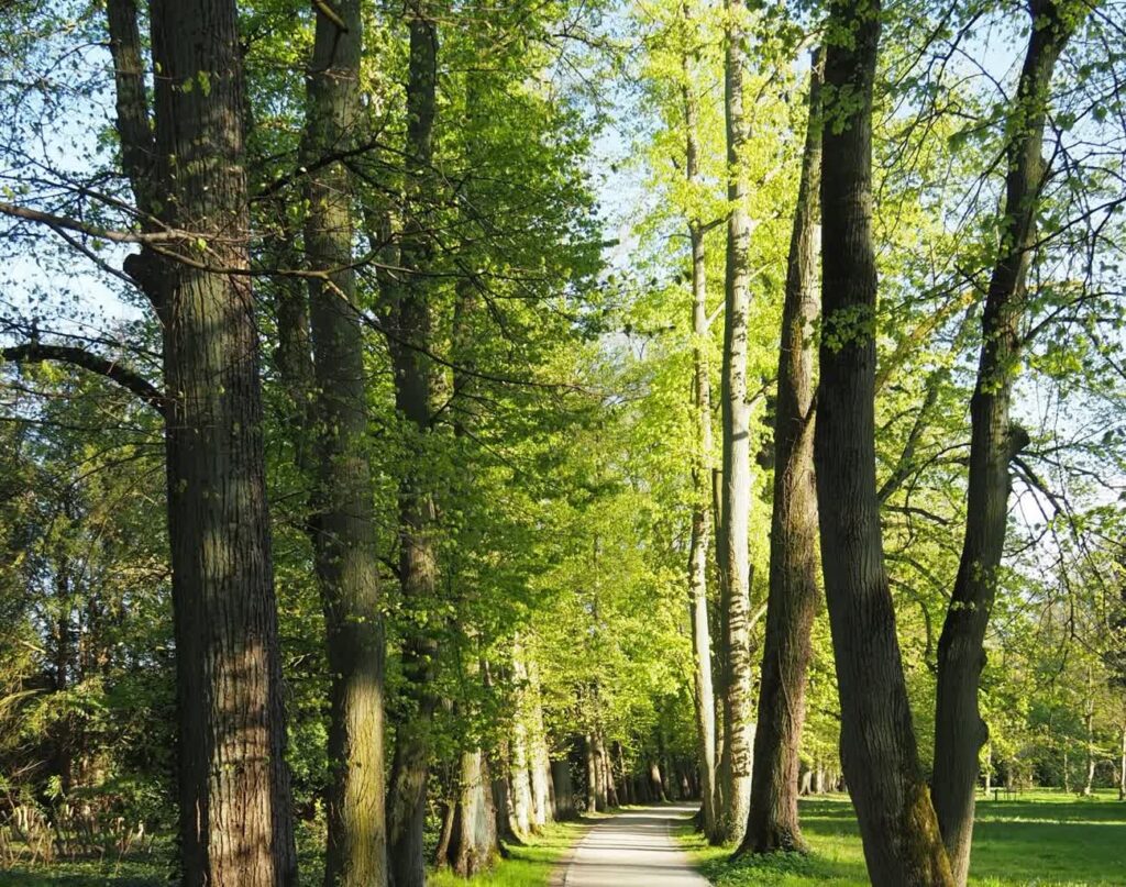 Arboretum w Chwalęcicach / www.facebook.com