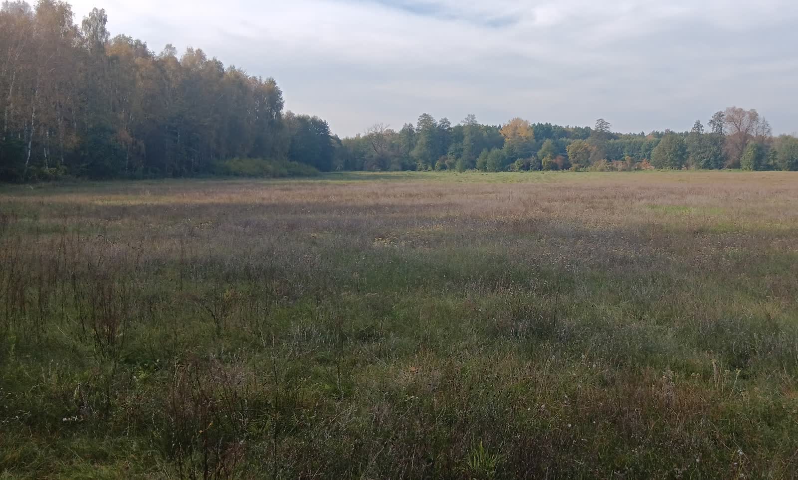 Nie 1.jpg
