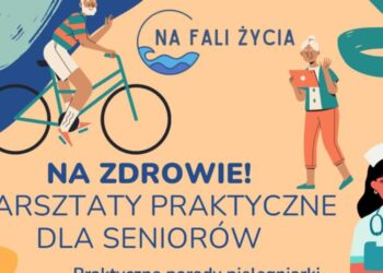 Warsztaty - Nowa Sól