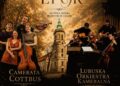 Festiwal Nowe Miasteczko