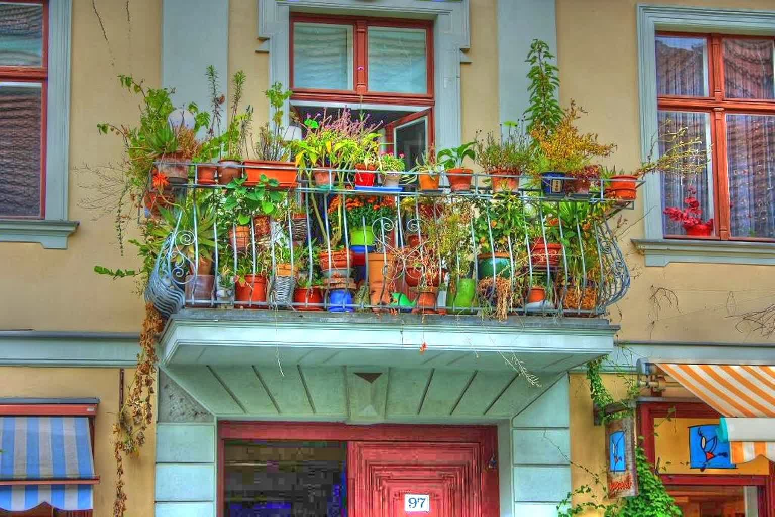 Ruszył konkurs na najpiękniejszy taras i balkon w Żarach