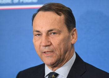 Radosław Sikorski. Fot. PAP/Radek Pietruszka