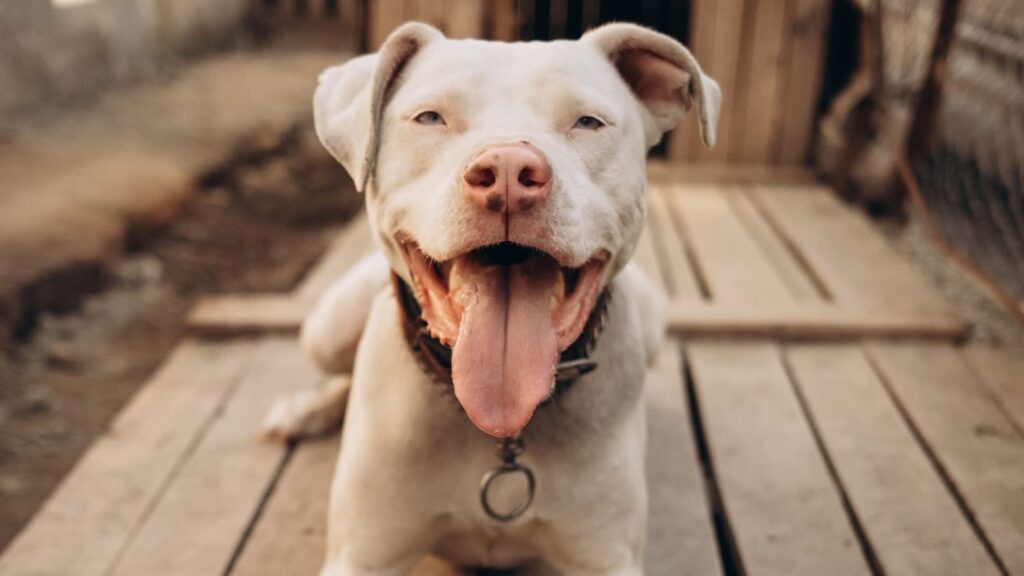 Fot. Pexels