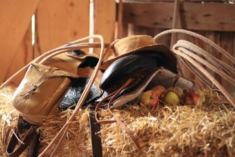 fot. Pixabay