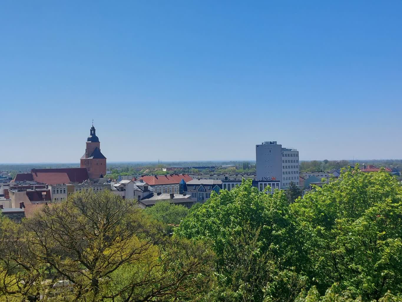 Czy w Gorzowie będzie referendum?