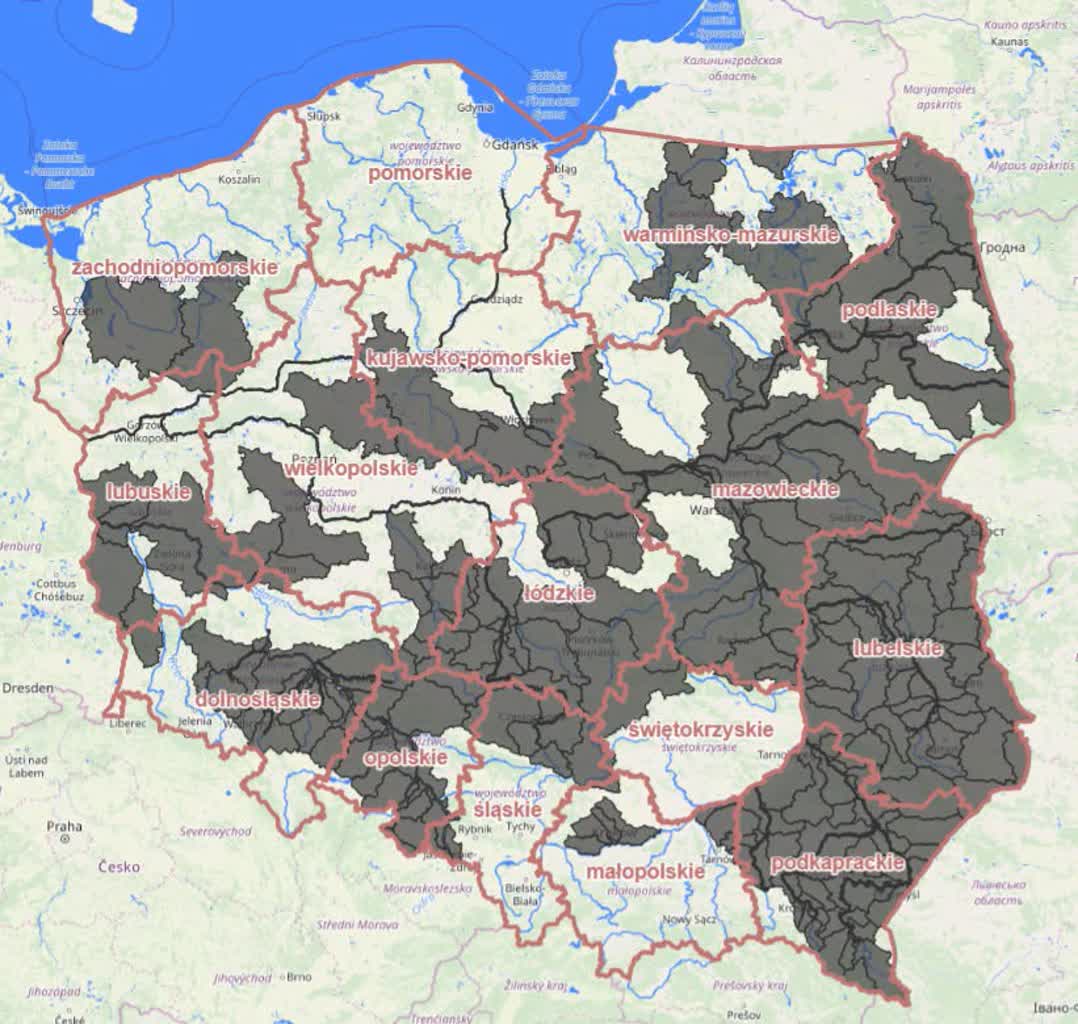 739596080_1033896549167439_2410024252289613368_n.jpg