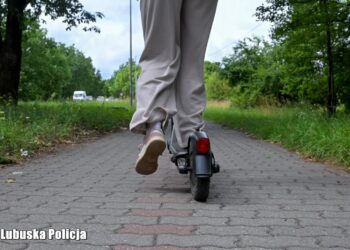Lubuska Policja