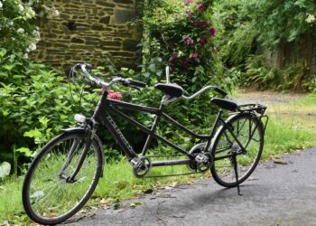 Tandem fot. Pixabay