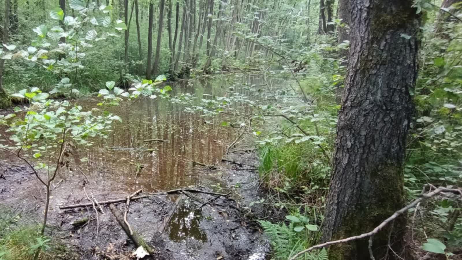 Niebawem w województwie powstanie pięć nowych rezerwatów przyrody