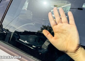 fot. Lubuska Policja