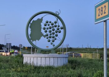 fot. KMP w Zielonej Górze