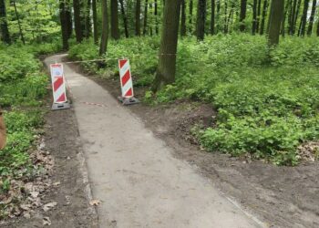 fot. UM Jasień/ Agnieszka Zychla