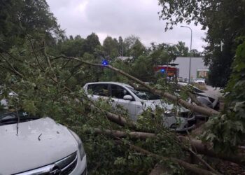 Fot. KW PSP Katowice za: Państwowa Straż Pożarna/FB