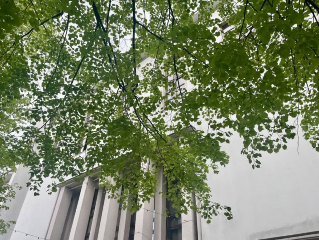 Lubuski Teatr/fot. Aurelia Adaszyńska
