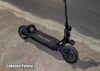 fot. KMP w Zielonej Górze