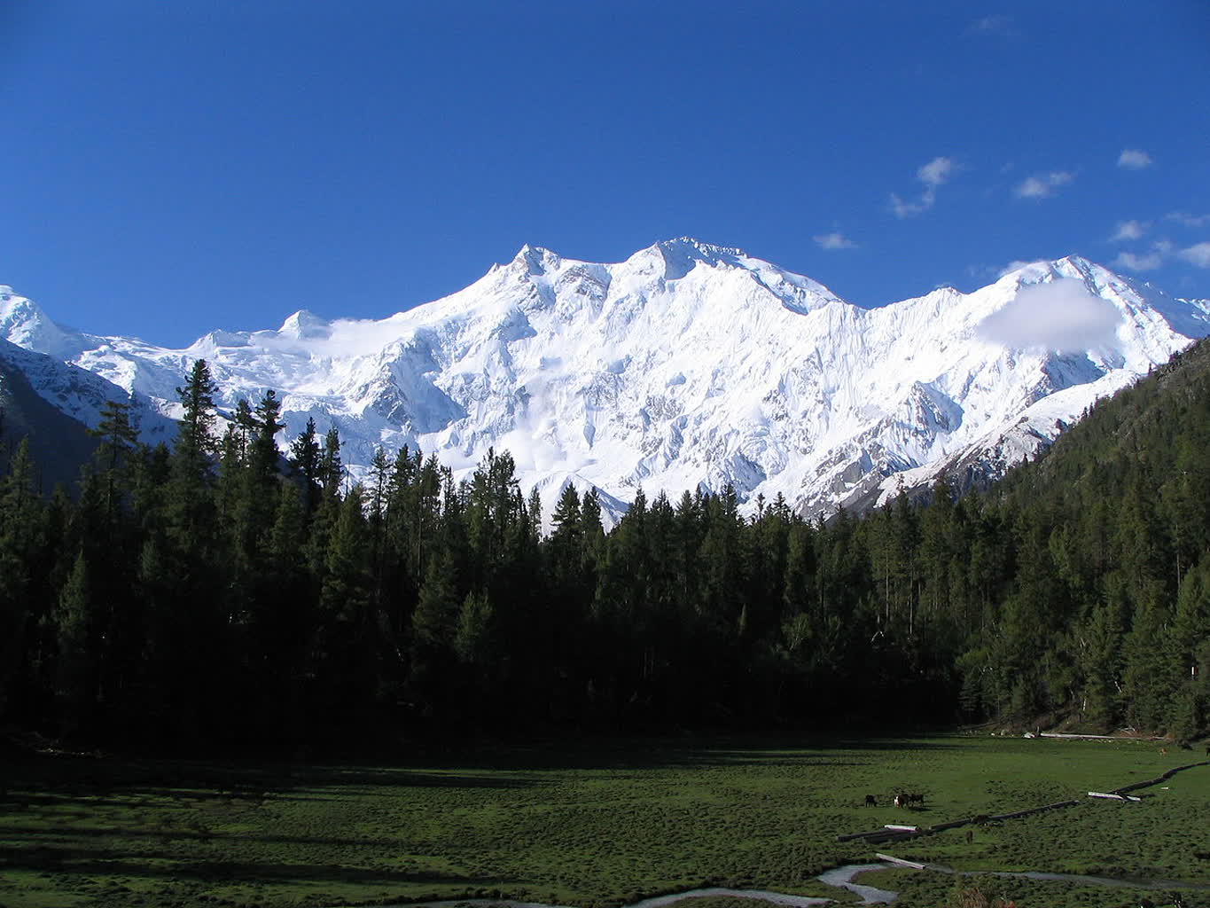 nanga-parbat.jpg