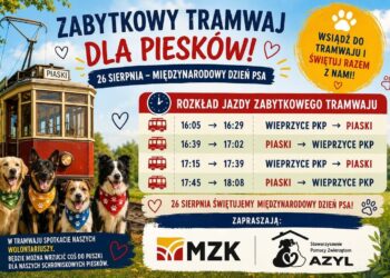 Miejski Zakład Komunikacji w Gorzowie Wielkopolskim Sp z o.o. / www.facebook.com