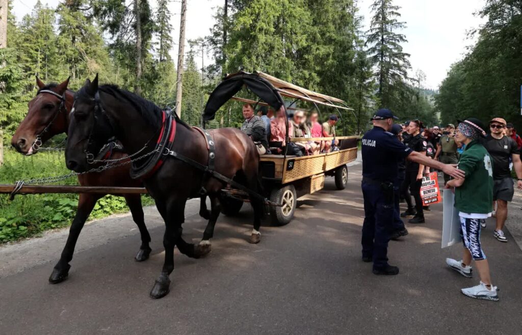 Policja i uczestnicy protestu, połączonego z akcją edukacyjną, pod hasłem „Nie jeżdżę fasiągiem - dla koni z Morskiego Oka”. Fot. PAP/Grzegorz Momot