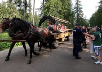 Policja i uczestnicy protestu, połączonego z akcją edukacyjną, pod hasłem „Nie jeżdżę fasiągiem - dla koni z Morskiego Oka”. Fot. PAP/Grzegorz Momot