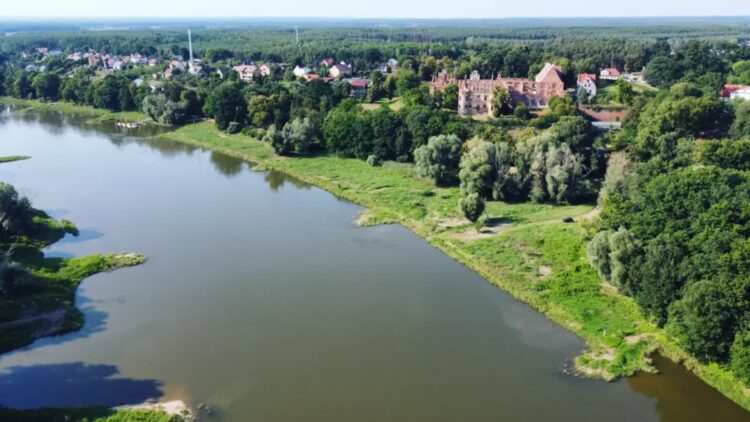 Odra w Siedlisku