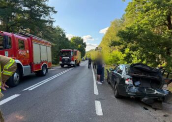 fot. KMP w Zielonej Górze