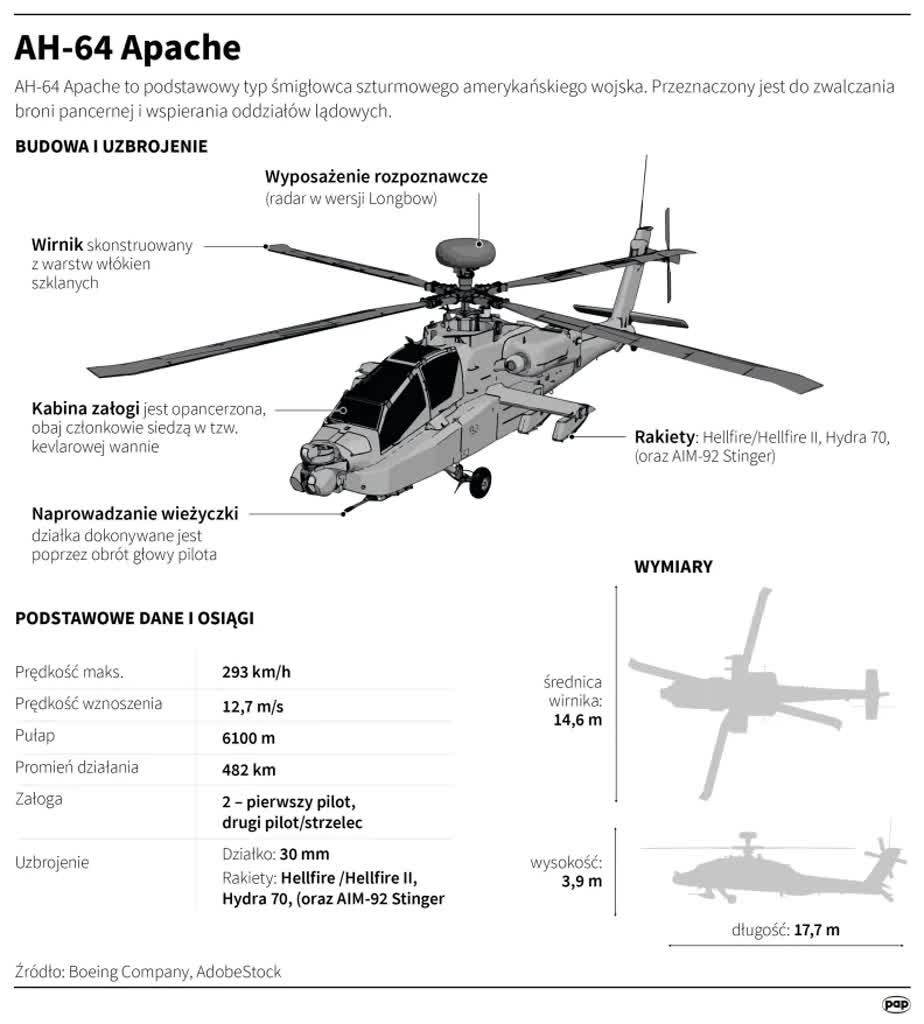 igrafika_20240813_04.png.webp