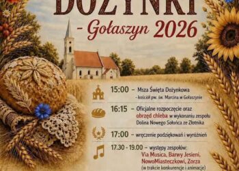 Program dożynek w gminie Nowe Miasteczko (mat. prasowe)