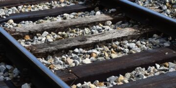 fot. Pixabay