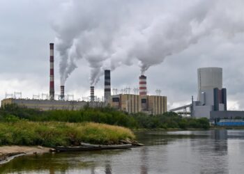 Elektrownia Kozienice Fot. PAP/Piotr Polak
