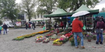 kiermasz ogrodniczy