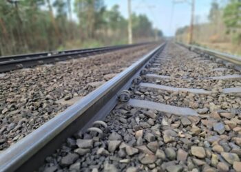 archiwum RZG