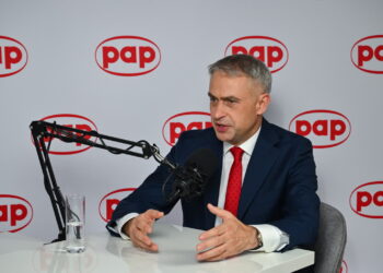 Krzysztof Gawkowski. Fot. PAP/Maciej Kulczyński