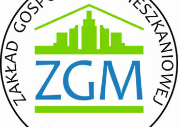 logo ZGM