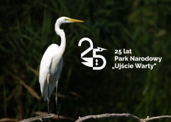 fot. Park Narodowy Ujście Warty
