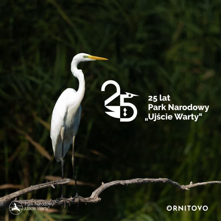 fot. Park Narodowy Ujście Warty